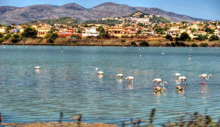 Apartamento Moderno Muy Centrico Y Cerca De La Playa Lägenhet Calpe Exteriör bild
